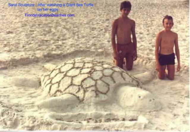 Florida Cocoa Beach Giant Sea Turtle in sand