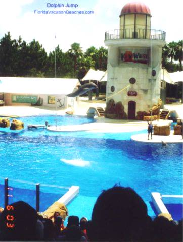Sea World Orlando Dolphn Jump - Florida Vacation Attraction