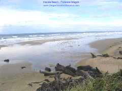 Oregon Coast  - Heceta Beach 